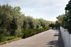 esterno-a-messina-(35)
