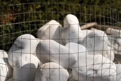 61 Ciottolo Bianco Carrara